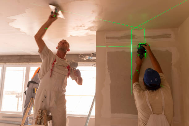 Best Basement Mold Removal  in Glenville, CT