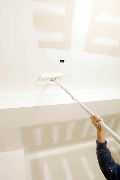 Reliable Glenville, CT Mold Removal Solutions