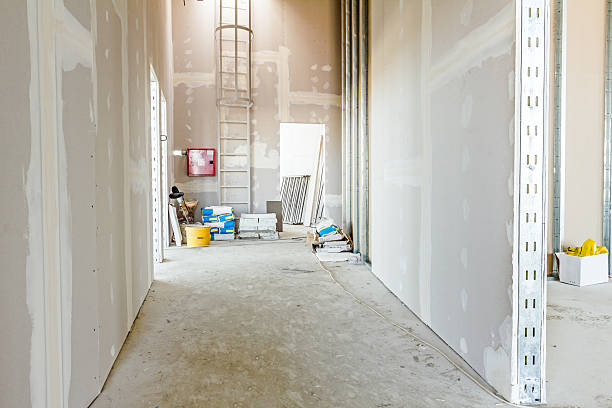 Best Mold Damage Restoration  in Glenville, CT