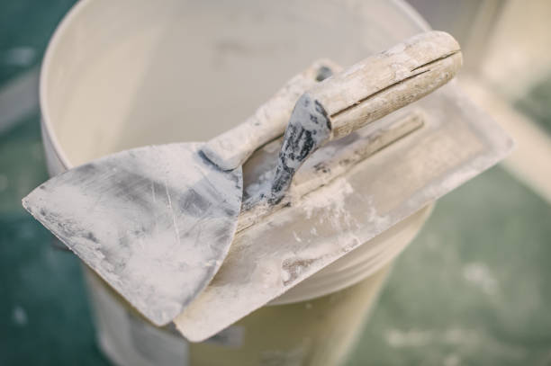 Best Mold Documentation for Insurance Claims  in Glenville, CT